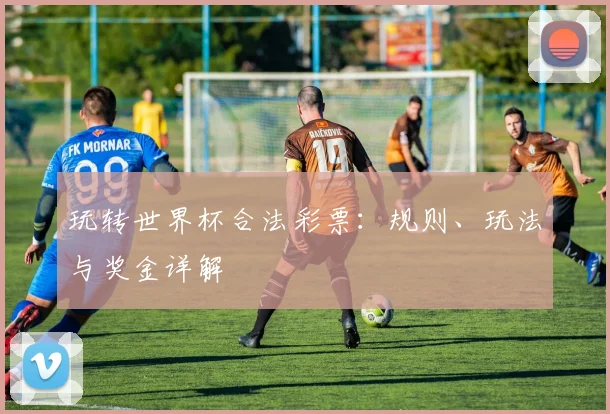 玩转世界杯合法彩票:规则、玩法与奖金详解