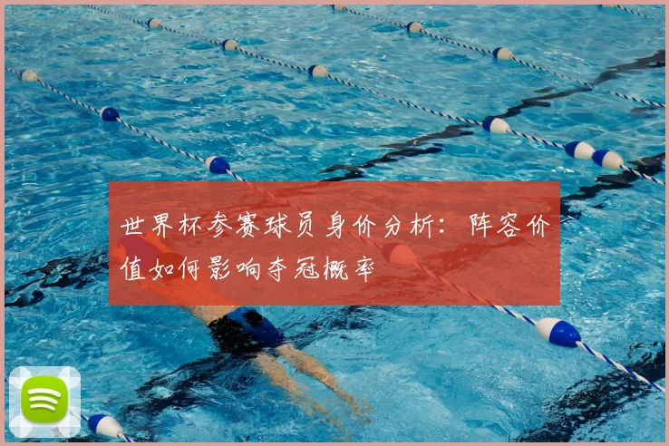 世界杯参赛球员身价分析:阵容价值如何影响夺冠概率