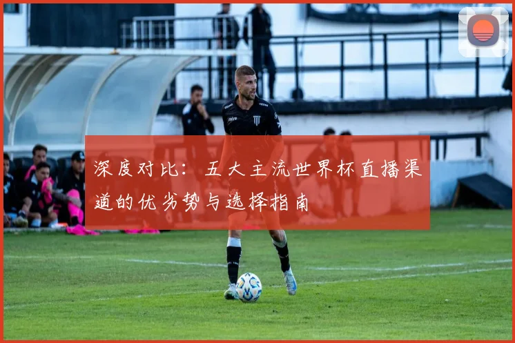 深度对比：五大主流世界杯直播渠道的优劣势与选择指南