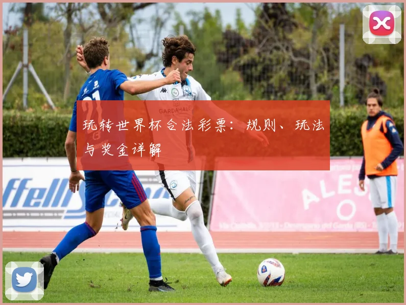 玩转世界杯合法彩票:规则、玩法与奖金详解