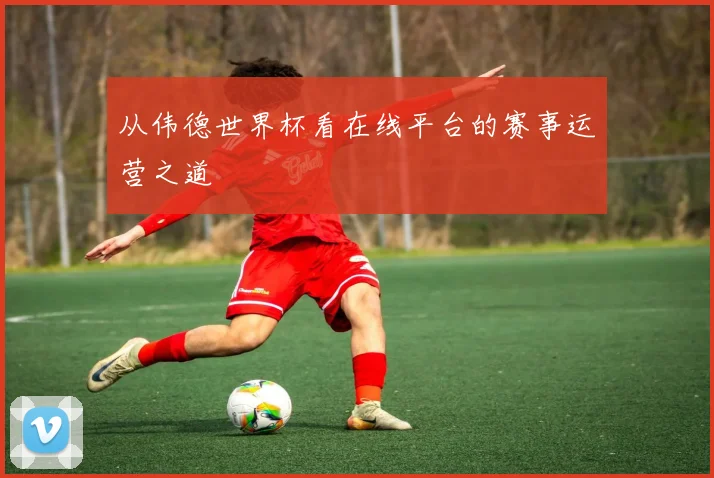 从伟德世界杯看在线平台的赛事运营之道